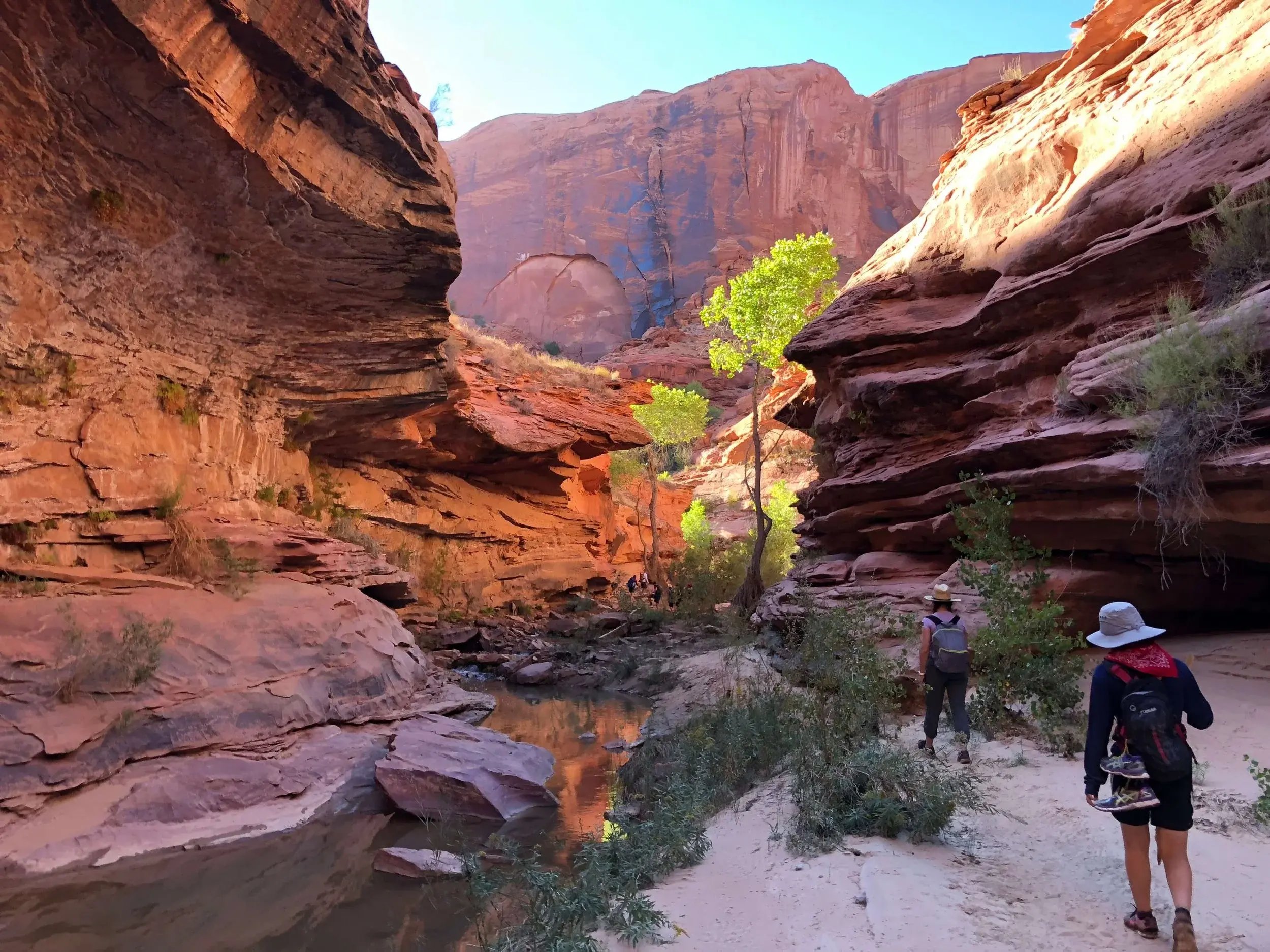 Utah & Beyond